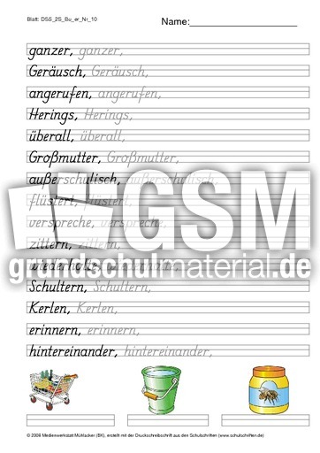 DSS_2S_Bu_er_Nr_10.pdf